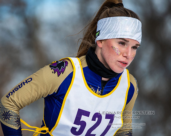 MSHSL State Section 2 Nordic Ski Championships, Theodore Wirth Park, Minneapolis, MN. 7 February  2022.
