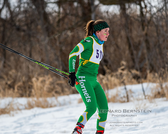 MSHSL State Section 2 Nordic Ski Championships, Theodore Wirth Park, Minneapolis, MN. 7 February  2022.