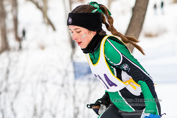 MSHSL State Section 2 Nordic Ski Championships, Theodore Wirth Park, Minneapolis, MN. 7 February  2022.