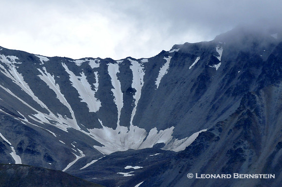 Denali National Park 2016