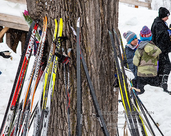City of Lakes Loppet Winter Festival (COLL), Theodore Wirth Park, Minneapolis, MN. 6 February  2022.