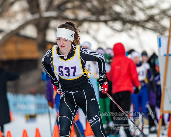 MSHSL State Section 2 Nordic Ski Championships, Theodore Wirth Park, Minneapolis, MN. 7 February  2022.