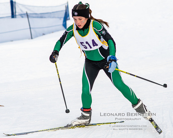MSHSL State Section 2 Nordic Ski Championships, Theodore Wirth Park, Minneapolis, MN. 7 February  2022.