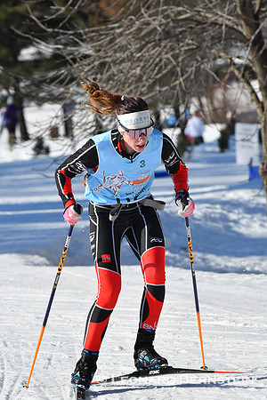 City of Lakes Loppet Freestyle Marathon 37 km, 2 Feb. 2020