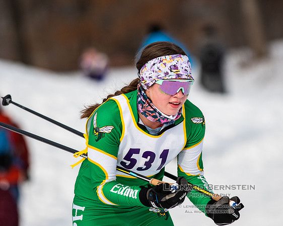 MSHSL State Section 2 Nordic Ski Championships, Theodore Wirth Park, Minneapolis, MN. 7 February  2022.