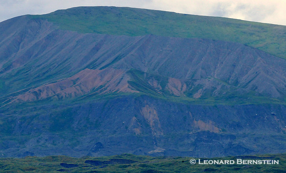 Denali National Park 2016