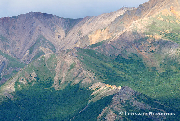 Denali National Park 2016
