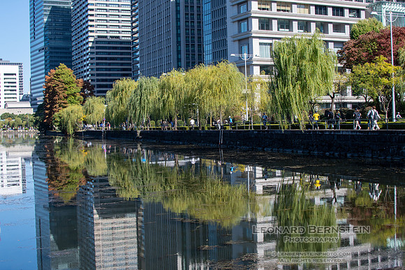 Tokyo November 2024