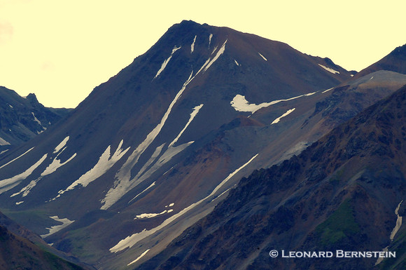 Denali National Park 2016