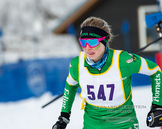 MSHSL State Section 2 Nordic Ski Championships, Theodore Wirth Park, Minneapolis, MN. 7 February  2022.