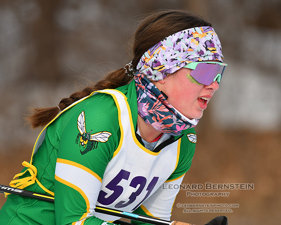MSHSL State Section 2 Nordic Ski Championship, Theodore Wirth Park, Minneapolis, MN. 7 February  2022.