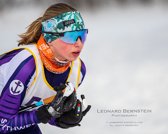 MSHSL State Section 2 Nordic Ski Championships, Theodore Wirth Park, Minneapolis, MN. 7 February  2022.