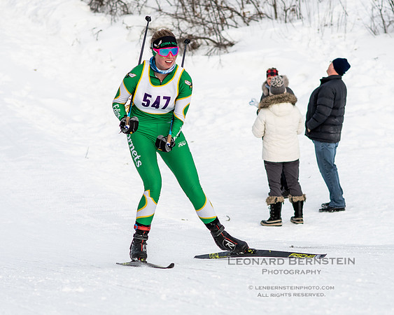 MSHSL State Section 2 Nordic Ski Championships, Theodore Wirth Park, Minneapolis, MN. 7 February  2022.