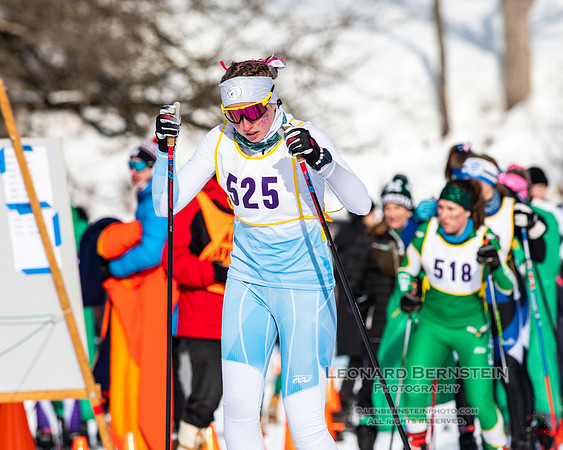 MSHSL State Section 2 Nordic Ski Championships, Theodore Wirth Park, Minneapolis, MN. 7 February  2022.