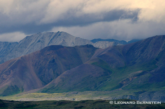 Denali National Park 2016