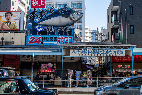 Tokyo November 2024