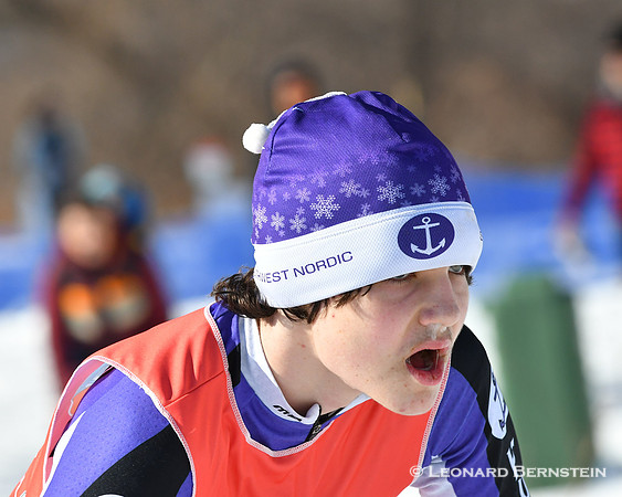 City of Lakes Loppet Freestyle Puoli 20 km, 2 Feb. 2020