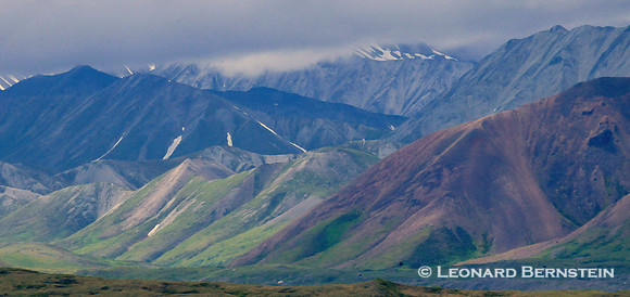 Denali National Park 2016