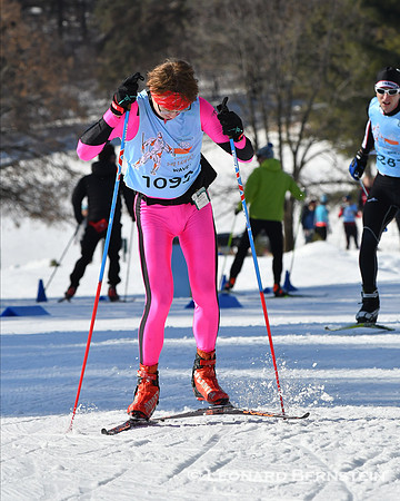 City of Lakes Loppet Freestyle Marathon 37 km, 2 Feb. 2020