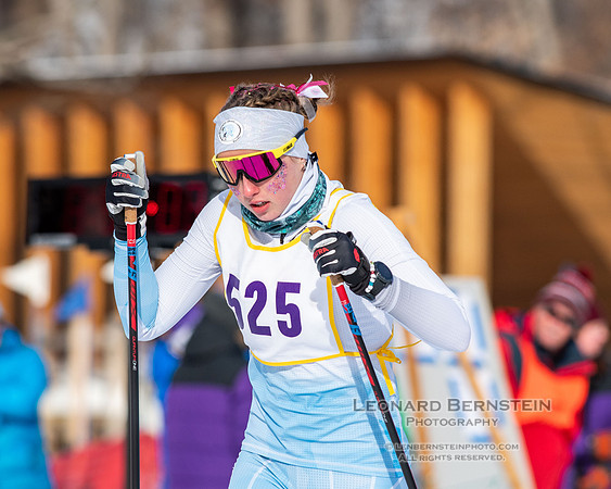 MSHSL State Section 2 Nordic Ski Championships, Theodore Wirth Park, Minneapolis, MN. 7 February  2022.