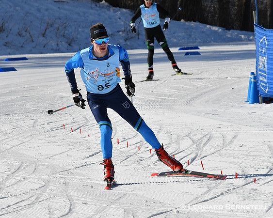 City of Lakes Loppet Freestyle Marathon 37 km, 2 Feb. 2020