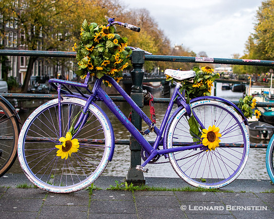 Amsterdam, Netherlands 2022