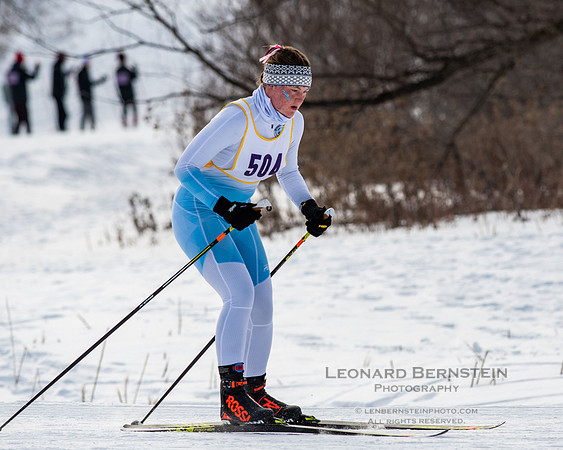 MSHSL State Section 2 Nordic Ski Championships, Theodore Wirth Park, Minneapolis, MN. 7 February  2022.