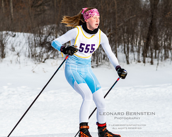 MSHSL State Section 2 Nordic Ski Championships, Theodore Wirth Park, Minneapolis, MN. 7 February  2022.
