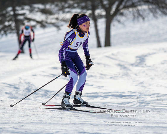 MSHSL State Section 2 Nordic Ski Championships, Theodore Wirth Park, Minneapolis, MN. 7 February  2022.