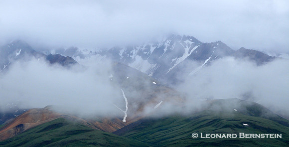 Denali National Park 2016