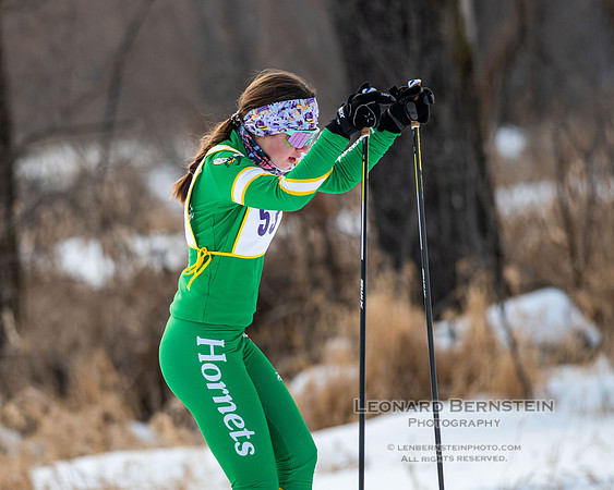 MSHSL State Section 2 Nordic Ski Championships, Theodore Wirth Park, Minneapolis, MN. 7 February  2022.