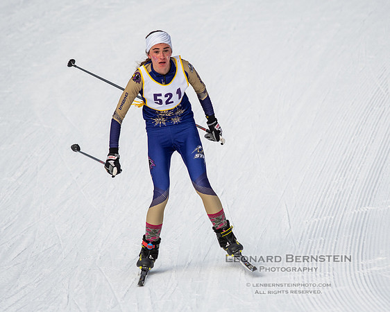MSHSL State Section 2 Nordic Ski Championships, Theodore Wirth Park, Minneapolis, MN. 7 February  2022.