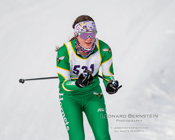 MSHSL State Section 2 Nordic Ski Championships, Theodore Wirth Park, Minneapolis, MN. 7 February  2022.