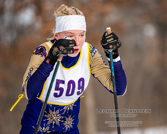 MSHSL State Section 2 Nordic Ski Championships, Theodore Wirth Park, Minneapolis, MN. 7 February  2022.