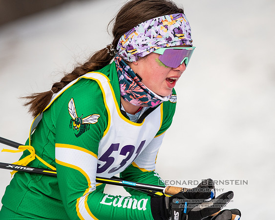MSHSL State Section 2 Nordic Ski Championships, Theodore Wirth Park, Minneapolis, MN. 7 February  2022.