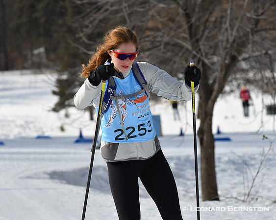 City of Lakes Loppet Freestyle Marathon 37 km, 2 Feb. 2020