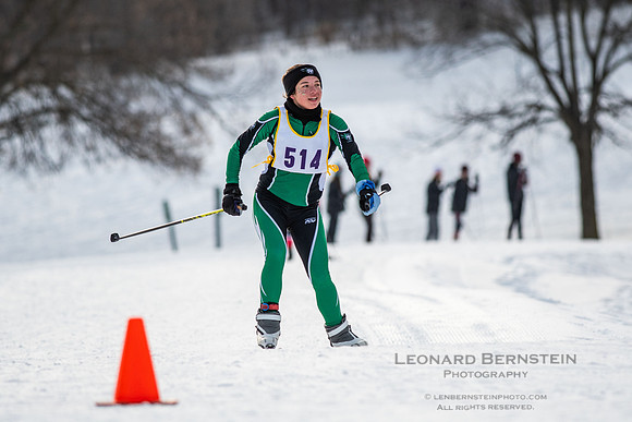 MSHSL State Section 2 Nordic Ski Championships, Theodore Wirth Park, Minneapolis, MN. 7 February  2022.
