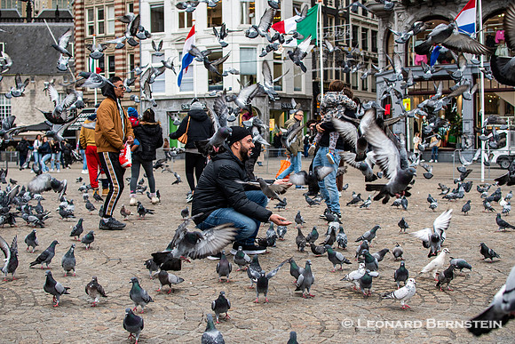 Amsterdam, Netherlands 2022