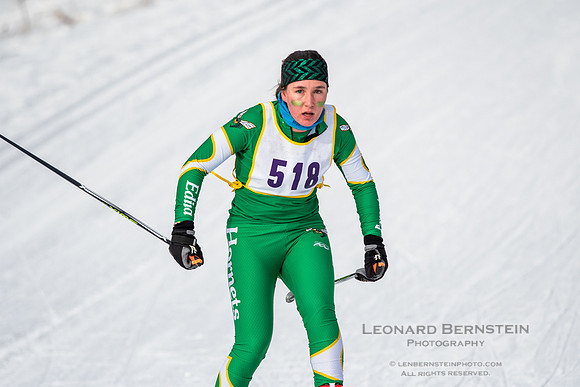 MSHSL State Section 2 Nordic Ski Championships, Theodore Wirth Park, Minneapolis, MN. 7 February  2022.