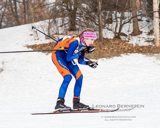 MSHSL State Section 2 Nordic Ski Championships, Theodore Wirth Park, Minneapolis, MN. 7 February  2022.